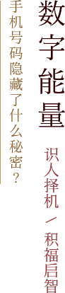 数字能量